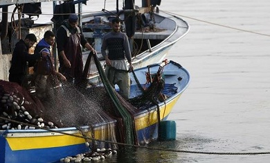 Lagi, Israel Kurangi Zona Penangkapan Ikan Untuk Nelayan Gaza